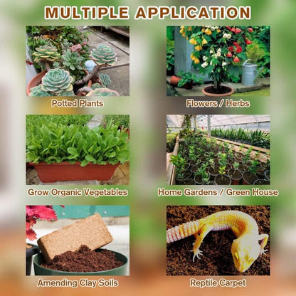 🔥Seasonal promotion- 49% OFF🔥-Premium Organic Coconut Coir Bricks for Plants(Collected from Pacific island countries)🥥