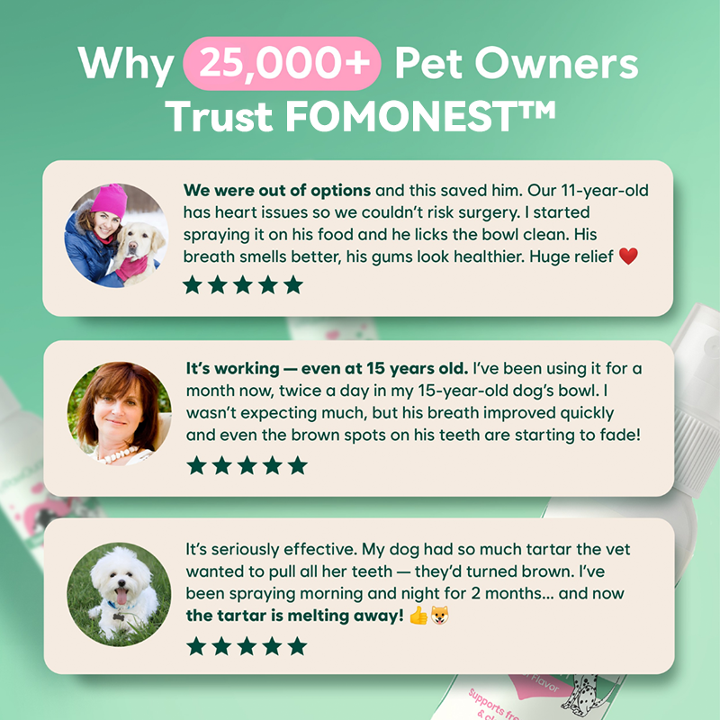 FOMONEST™ Dental Spray – Stop Bad Breath & Tartar at the Source