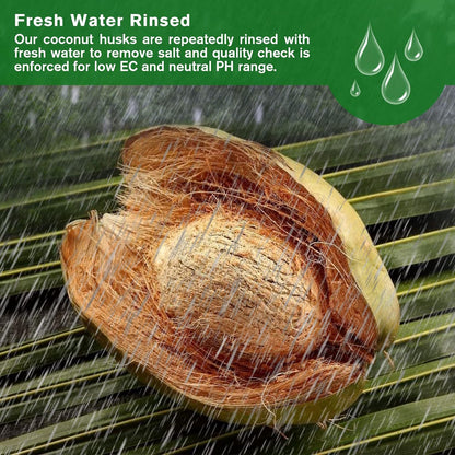 🔥Seasonal promotion- 49% OFF🔥-Premium Organic Coconut Coir Bricks for Plants(Collected from Pacific island countries)🥥
