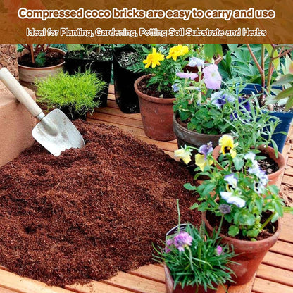 🔥Seasonal promotion- 49% OFF🔥-Premium Organic Coconut Coir Bricks for Plants(Collected from Pacific island countries)🥥