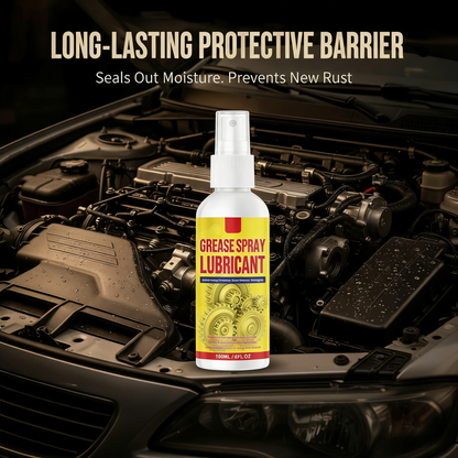 Anti-Rust Lubricant Spray & Rust Remover