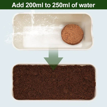 🔥Seasonal promotion- 49% OFF🔥-Premium Organic Coconut Coir Bricks for Plants(Collected from Pacific island countries)🥥