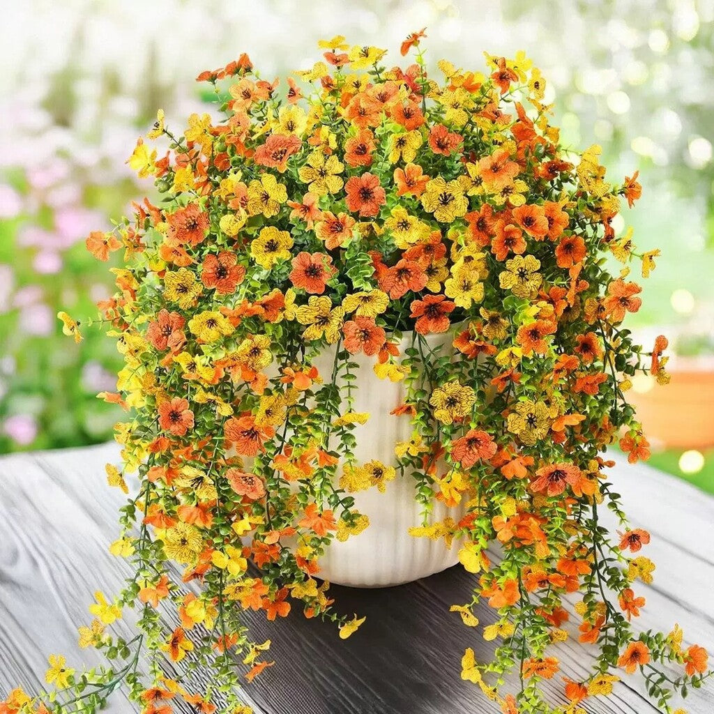Yellow + Orange (Bicolor)