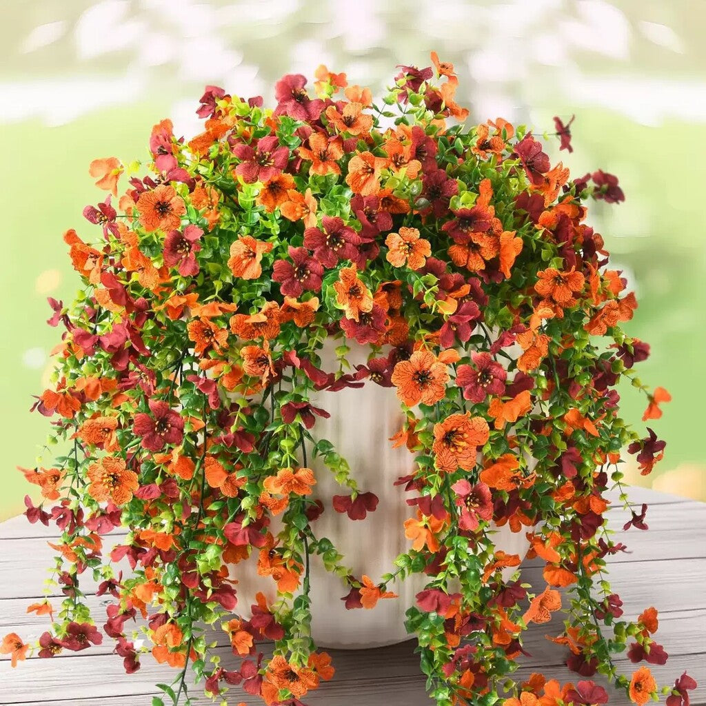 Maroon + Orange (Bicolor)