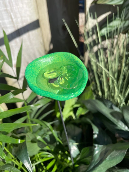 🔥Handmade Bee Watering Station, Butterfly Puddler, Hummingbird Drinking Cups - Made in America