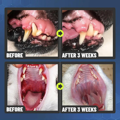 FOMONEST™ Dental Spray – Stop Bad Breath & Tartar at the Source
