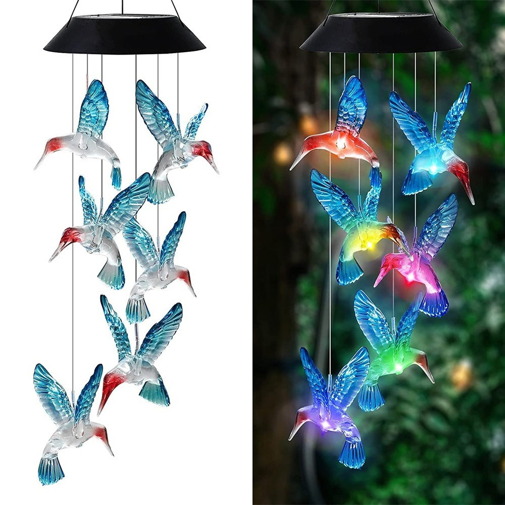 Blue Hummingbird
