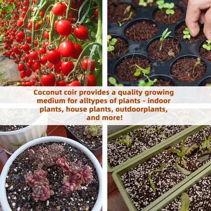 🔥Seasonal promotion- 49% OFF🔥-Premium Organic Coconut Coir Bricks for Plants(Collected from Pacific island countries)🥥
