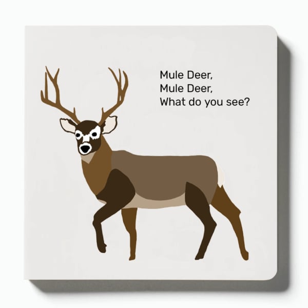 🦌Mule Deer