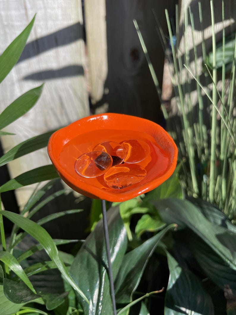 🔥Handmade Bee Watering Station, Butterfly Puddler, Hummingbird Drinking Cups - Made in America