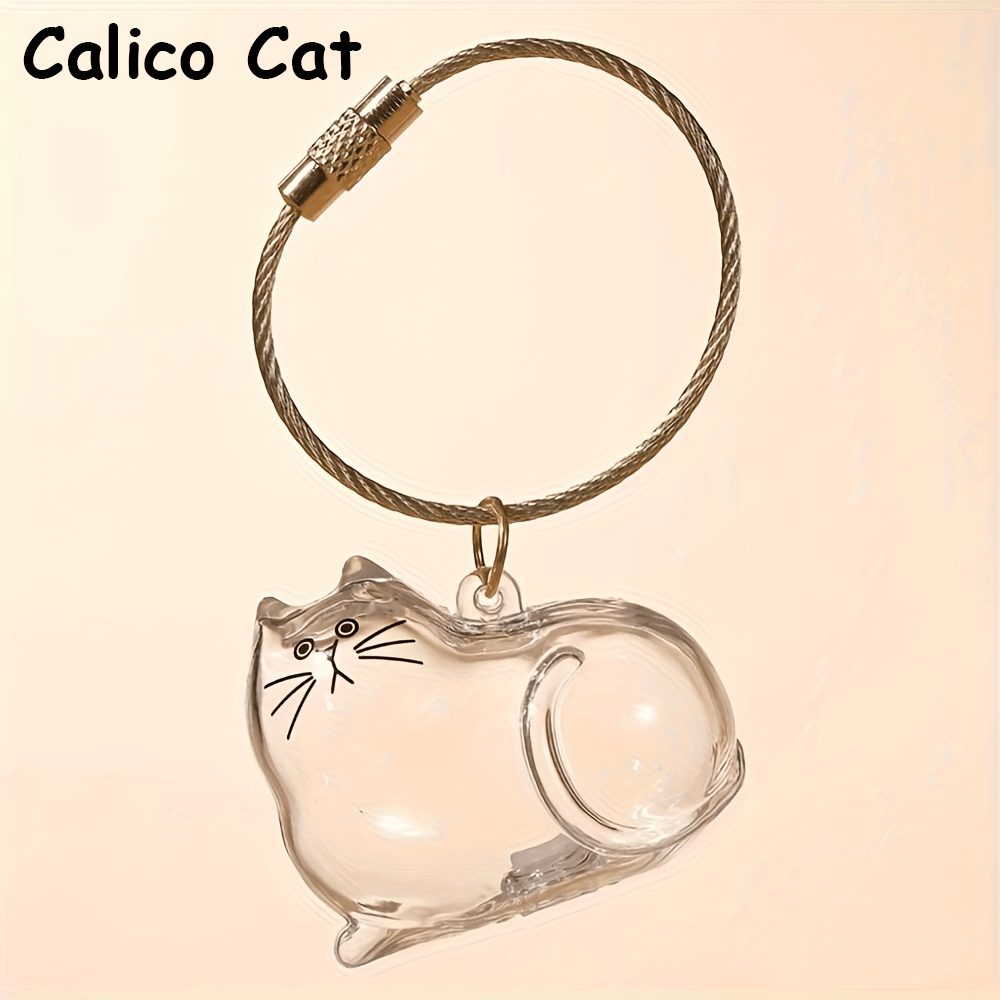 Calico Cat