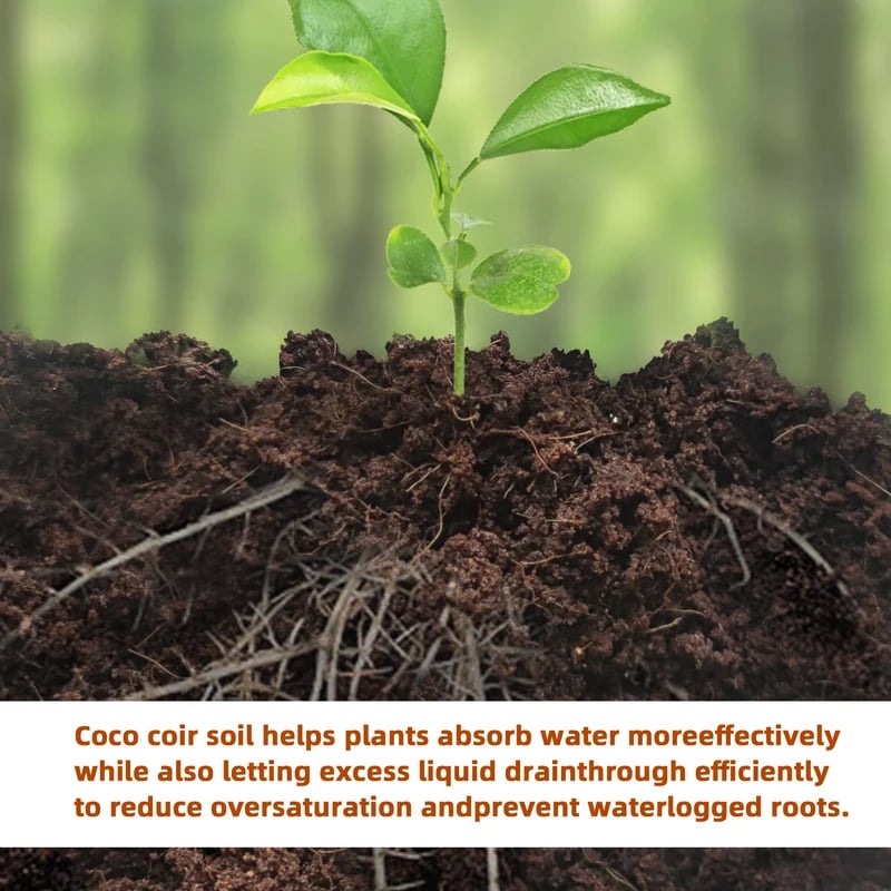 🔥Seasonal promotion- 49% OFF🔥-Premium Organic Coconut Coir Bricks for Plants(Collected from Pacific island countries)🥥