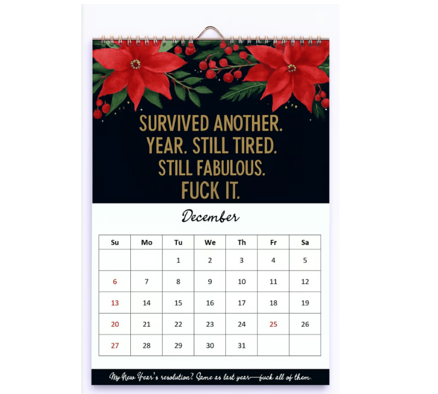 Fuck It Again – 2026 Calendar For Women Who’ve Had Enough