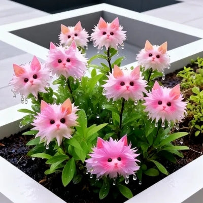 🐱Pink White